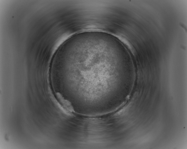 X0000097651333200803071500