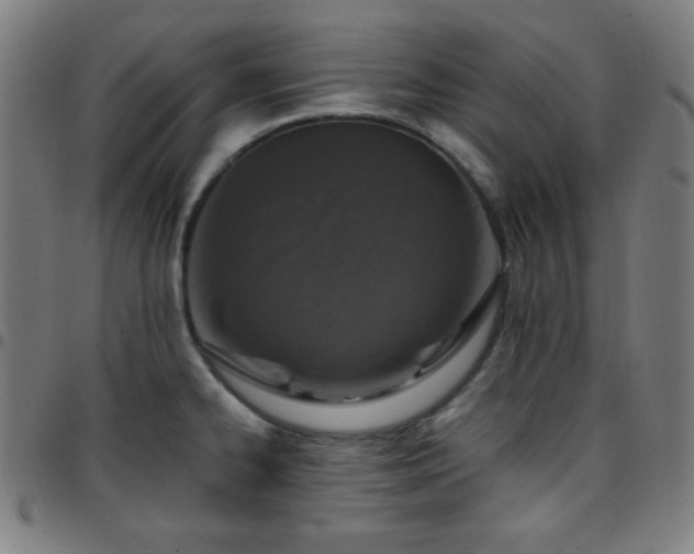 X0000097651334200803071500