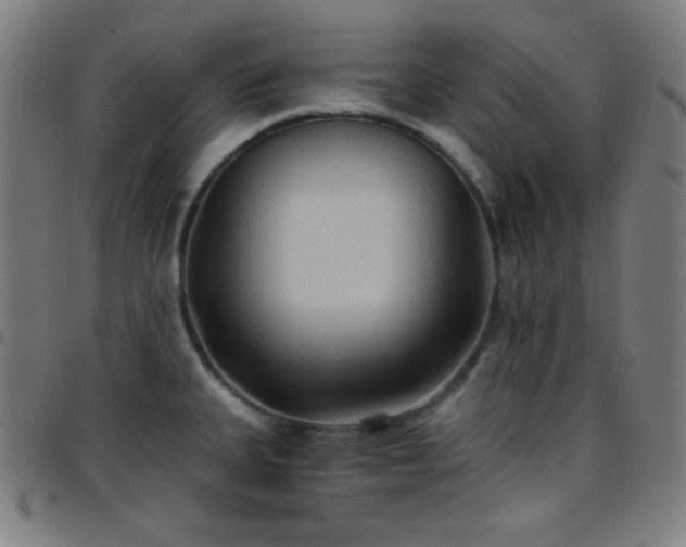 X0000097651335200803071500