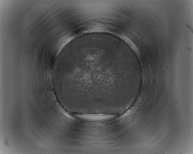 X0000097651337200803071500