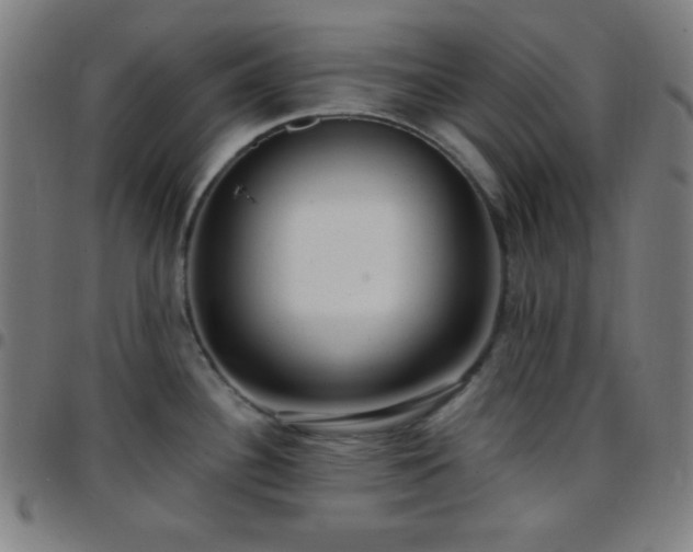 X0000097651340200803071501