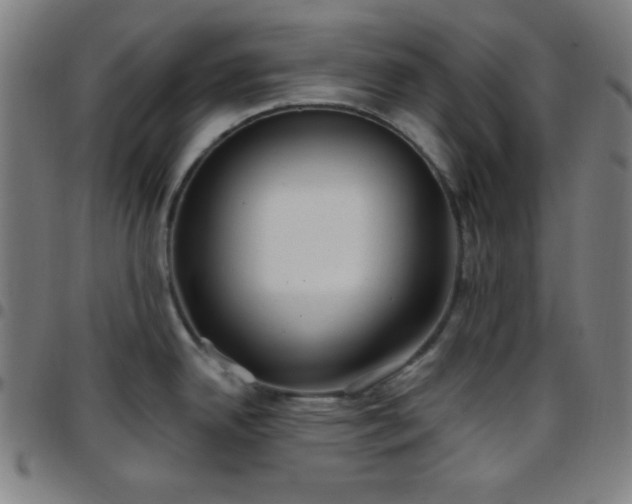 X0000097651342200803071501