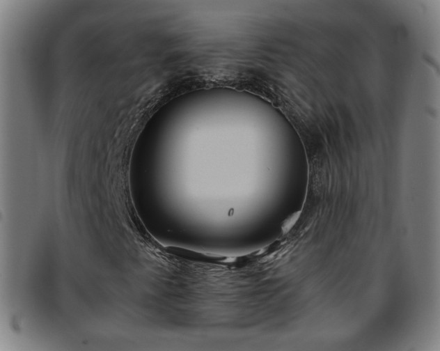 X0000097651345200803071500