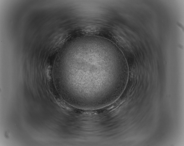 X0000097651346200803071500