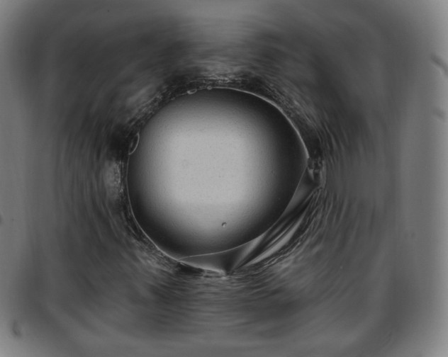 X0000097651347200803071500