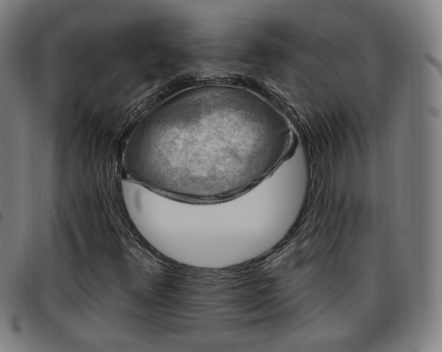 X0000097651348200803071500