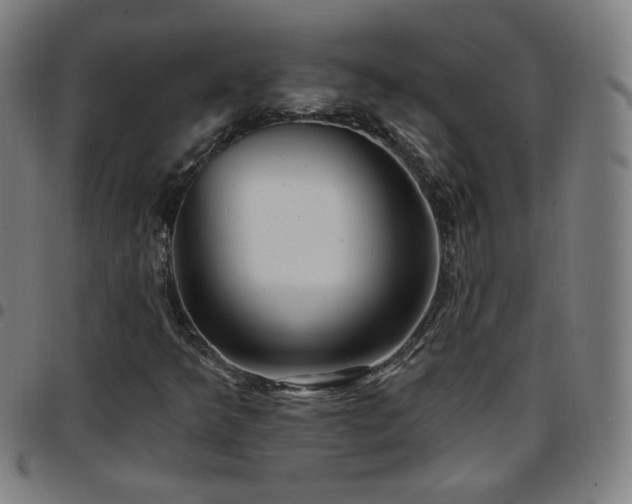 X0000097651349200803071500