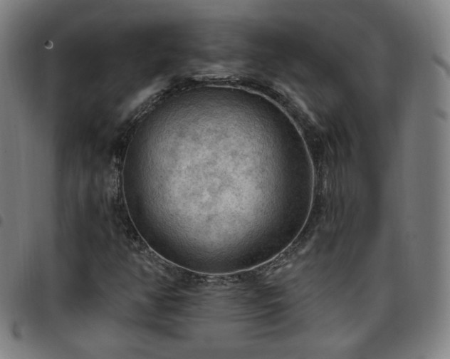 X0000097651350200803071500