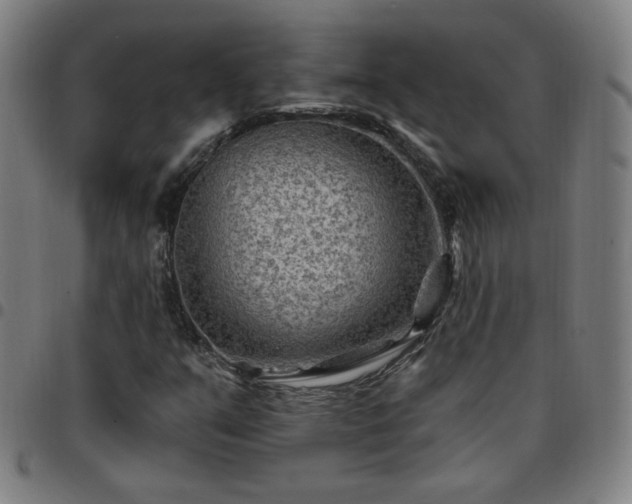 X0000097651351200803071500