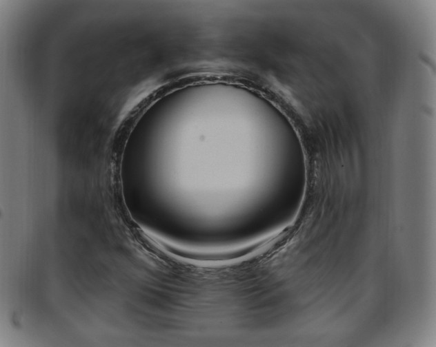 X0000097651352200803071500