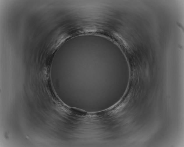 X0000097651353200803071500