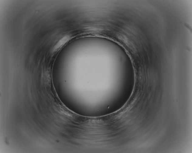 X0000097651354200803071500