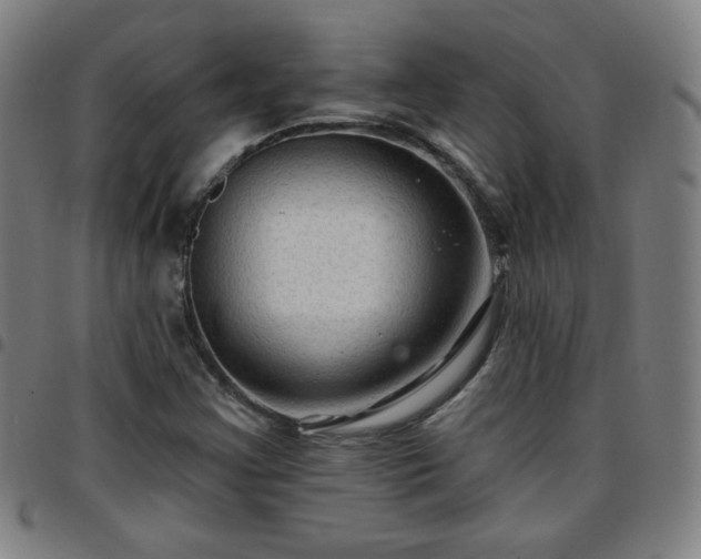 X0000097651355200803071500