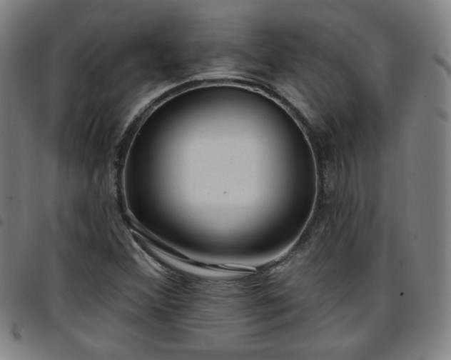 X0000097651356200803071500