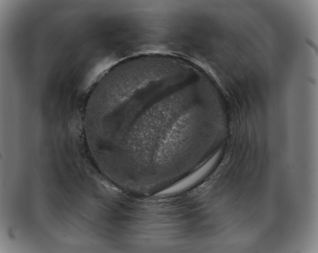 X0000097651359200803071500