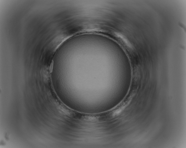 X0000097651361200803071500