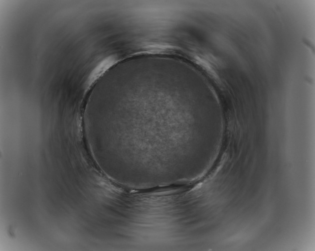 X0000097651362200803071500