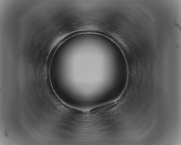 X0000097651364200803071500