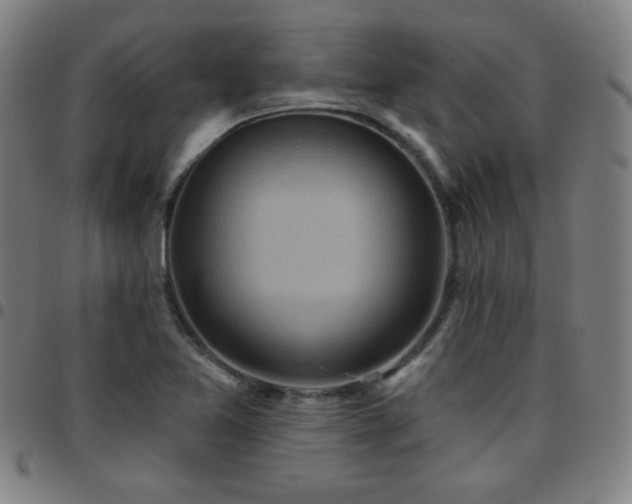 X0000097651365200803071500