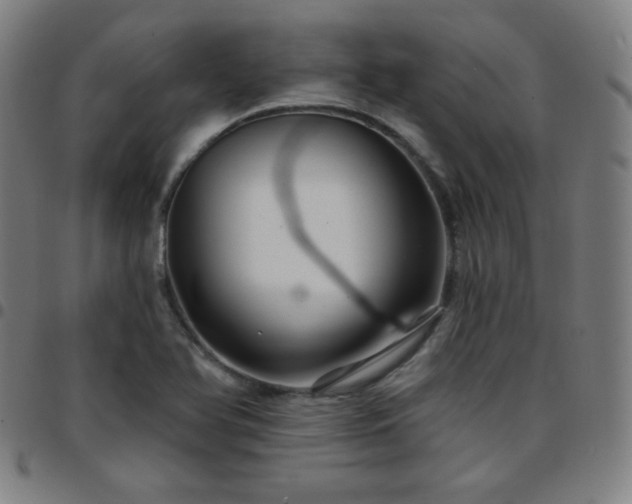 X0000097651366200803071500