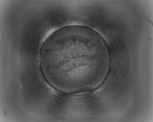 X0000097651367200803071500