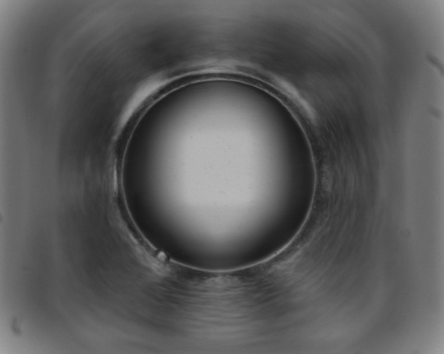 X0000097651368200803071500