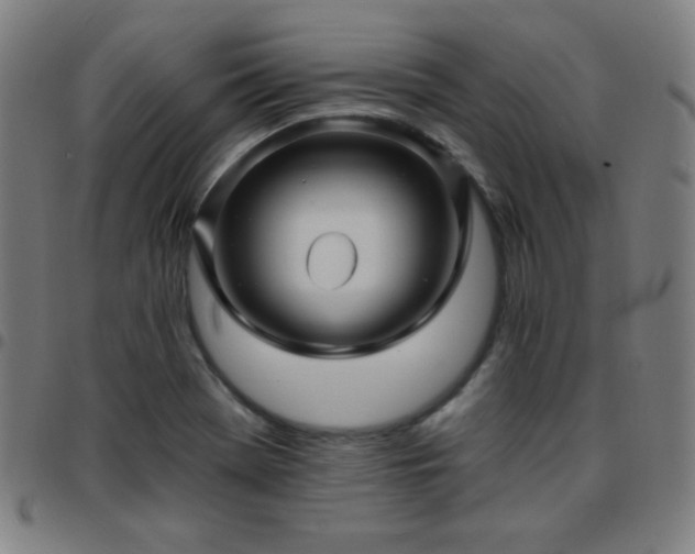 X0000097651369200803071500