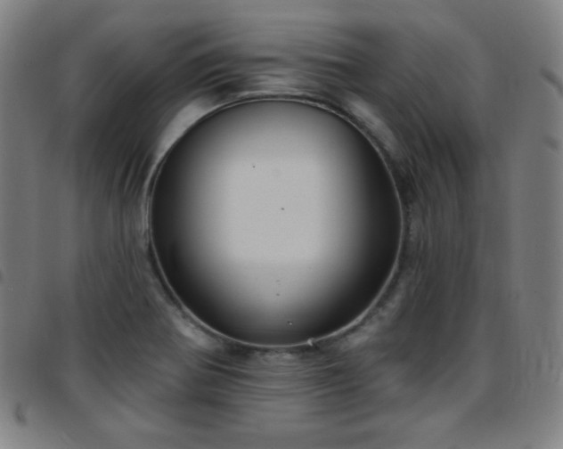 X0000097651370200803071500