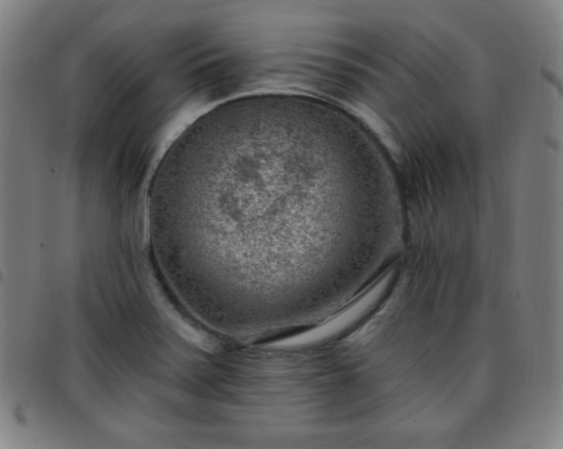 X0000097651371200803071500