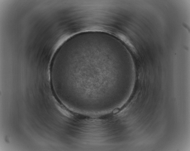 X0000097651372200803071500