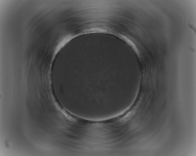 X0000097651373200803071500