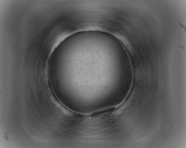 X0000097651374200803071500