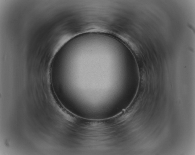 X0000097651375200803071459