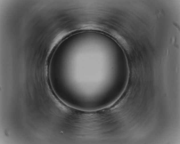 X0000097651376200803071459