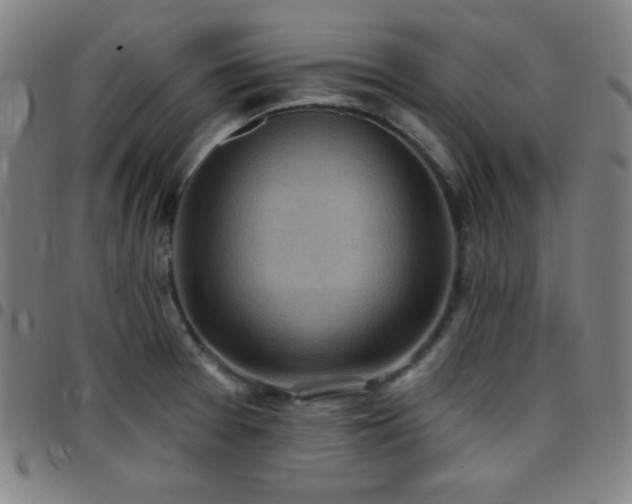 X0000097651377200803071459