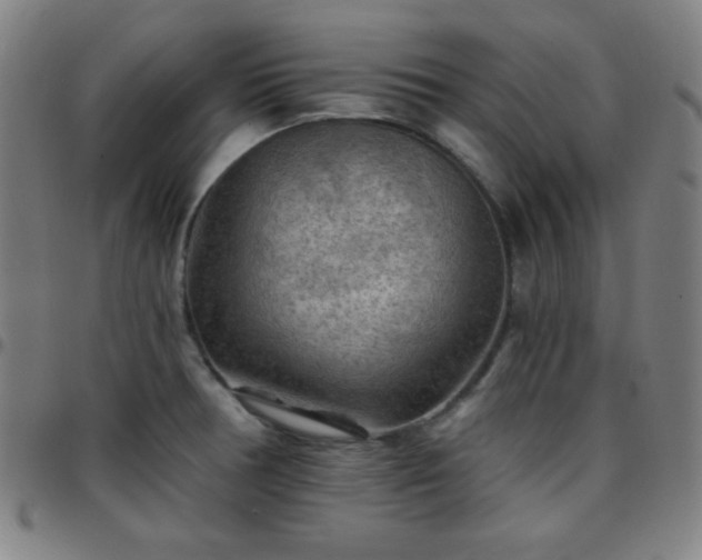 X0000097651378200803071459