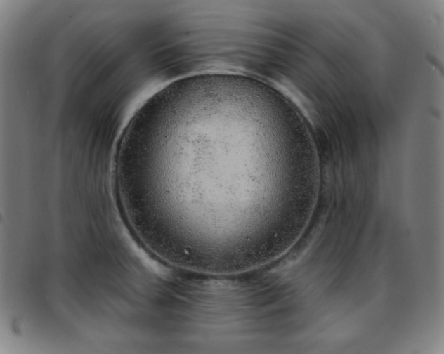 X0000097651379200803071459