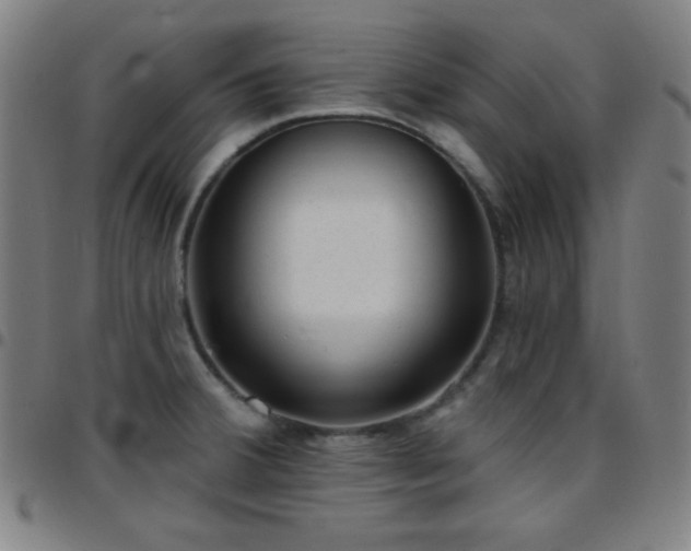 X0000097651380200803071459