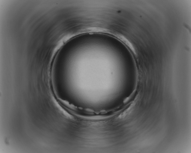 X0000097651381200803071459