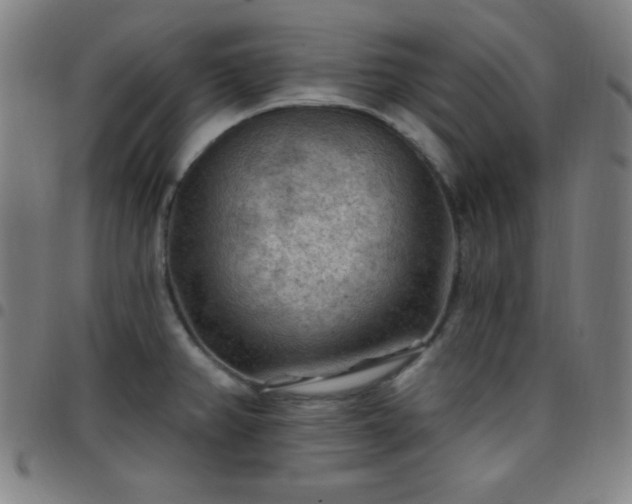 X0000097651382200803071459