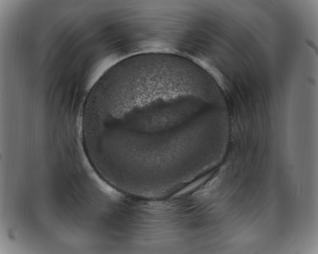 X0000097651383200803071459