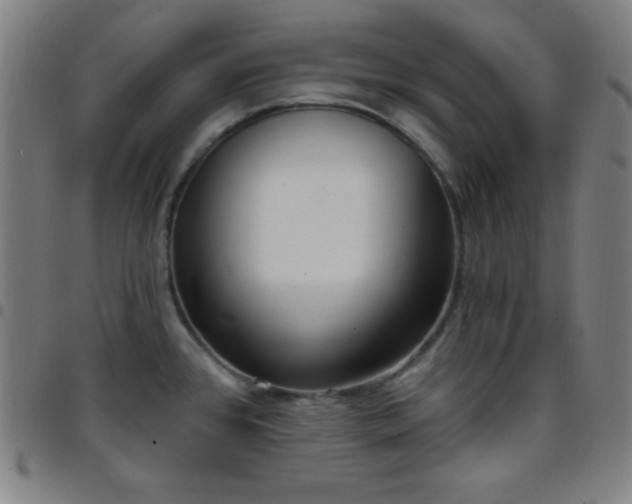 X0000097651384200803071459