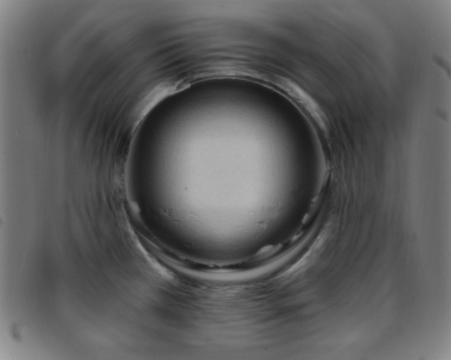 X0000097651385200803071459