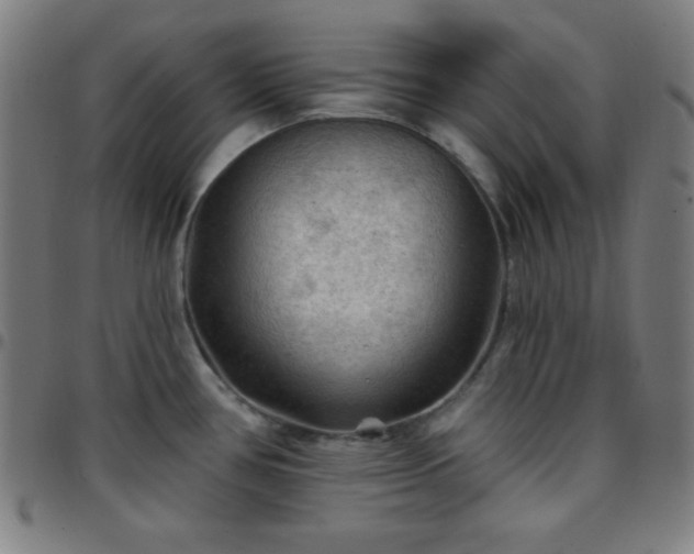 X0000097651386200803071459