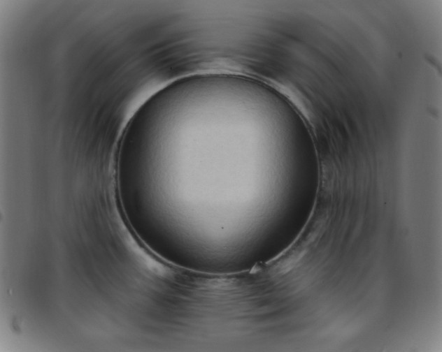 X0000097651387200803071459