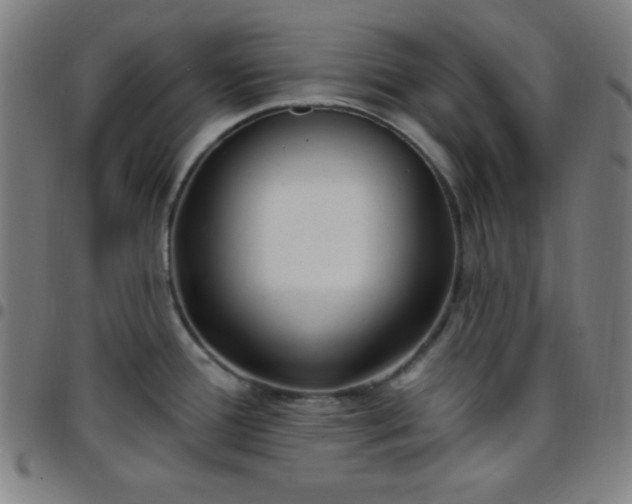 X0000097651388200803071459