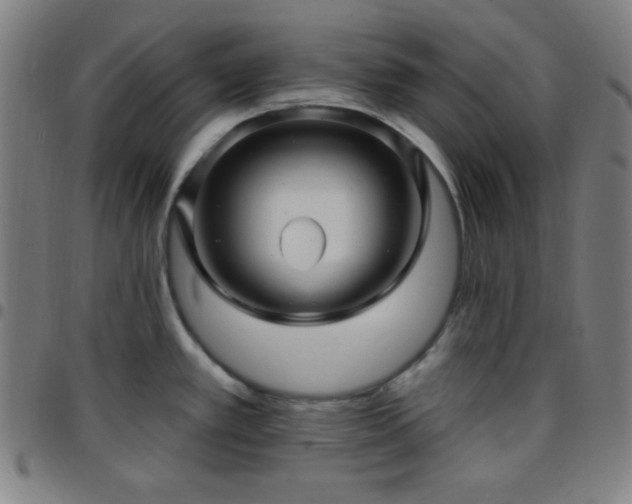 X0000097651389200803071459