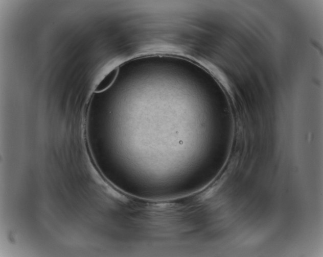 X0000097651390200803071459