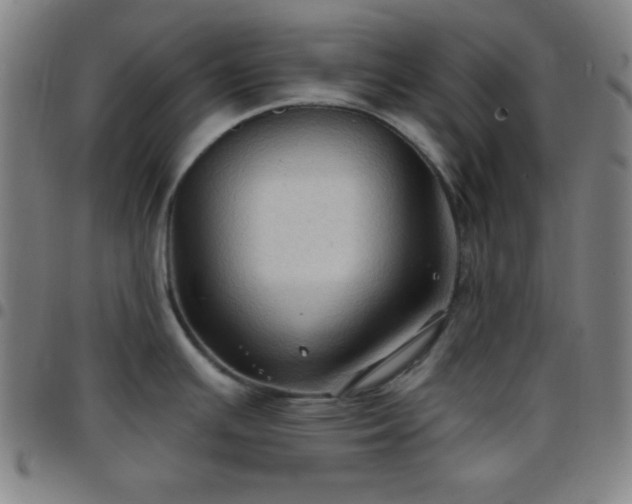 X0000097651391200803071459