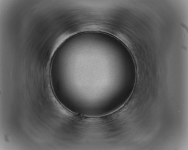 X0000097651392200803071459